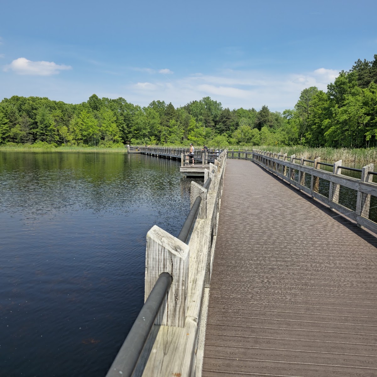 Pickerel Lake Park - Fred Meijer Nature Preserve