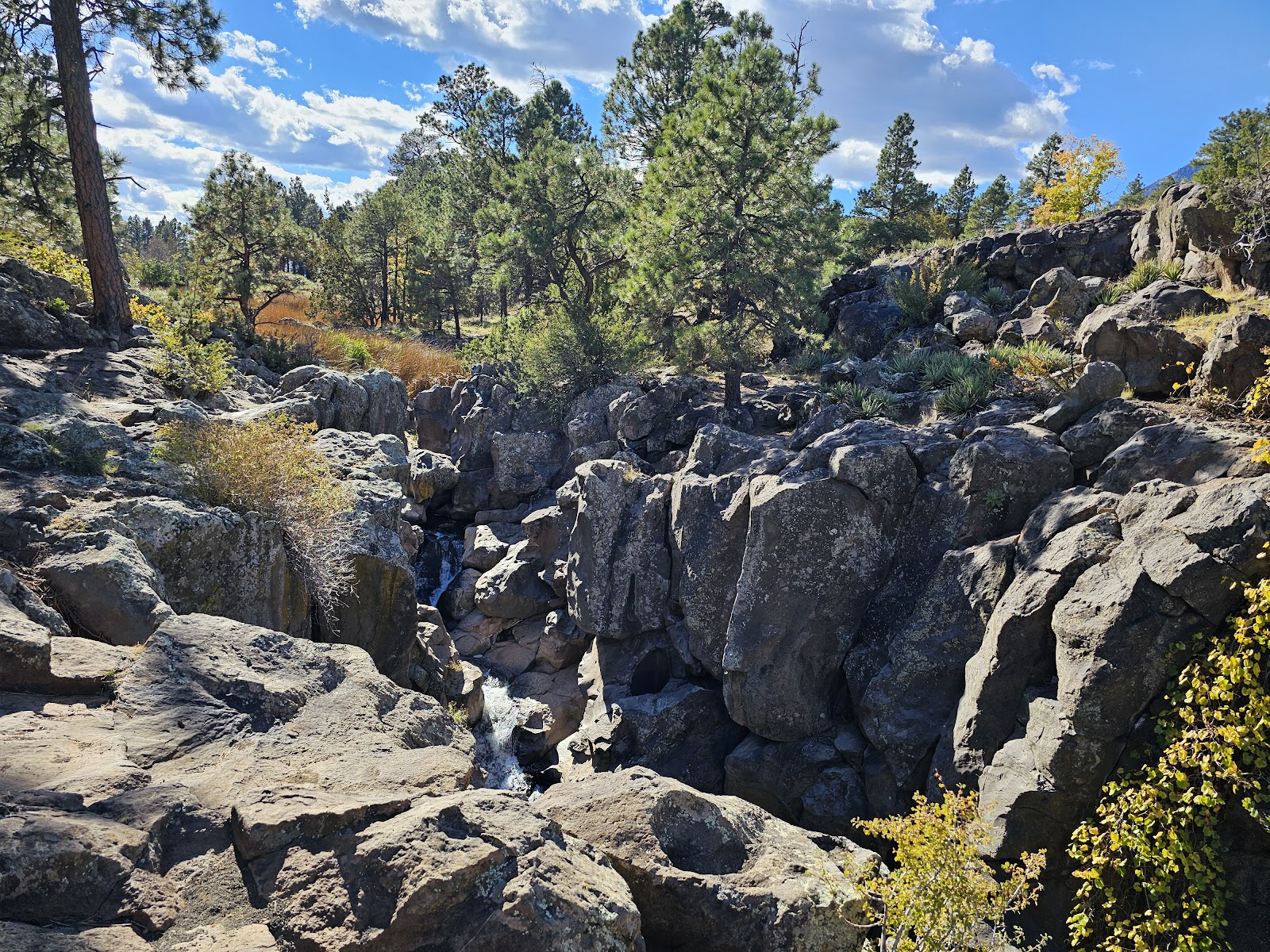 Picture Canyon Trailhead