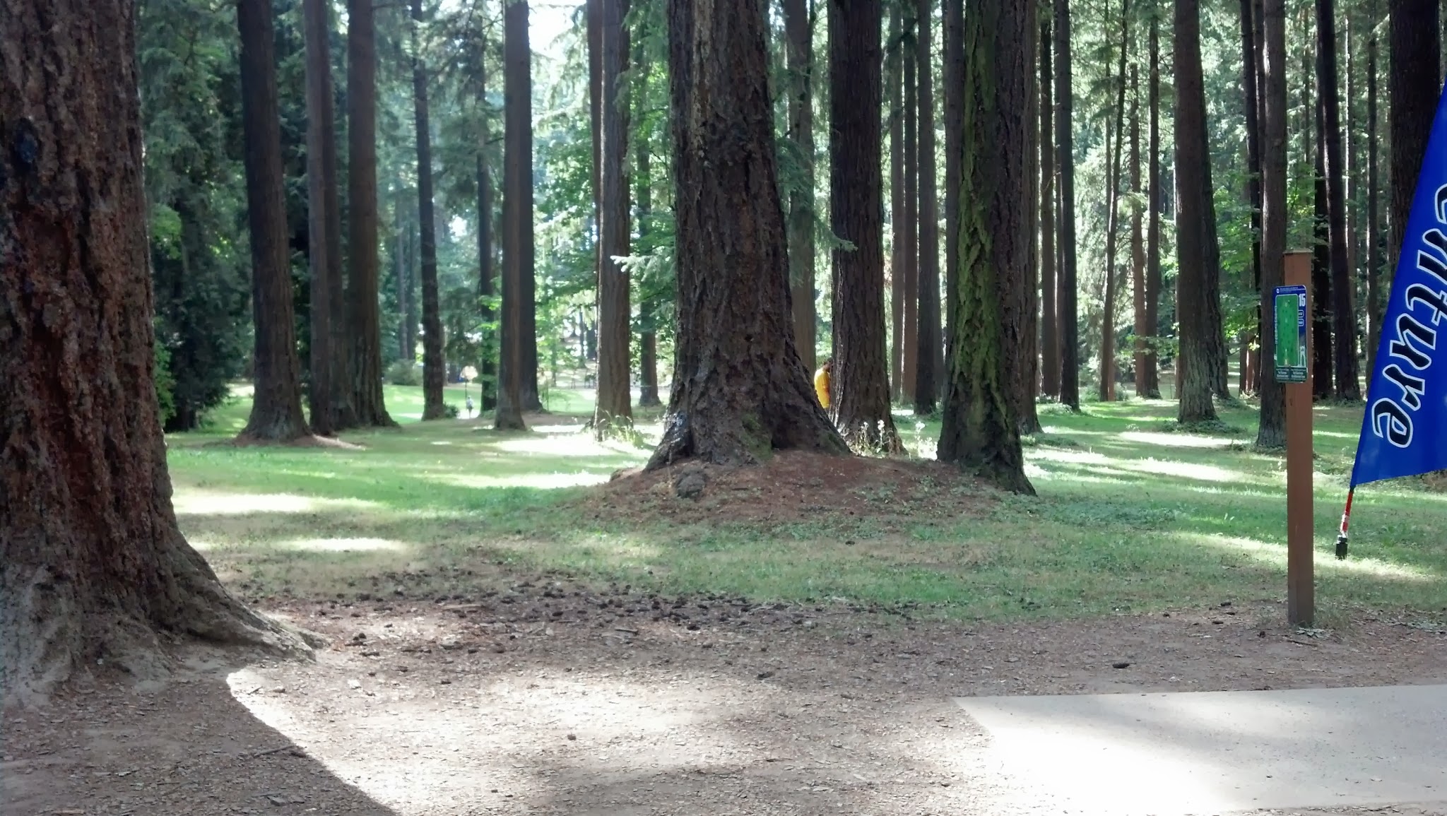 Pier Park