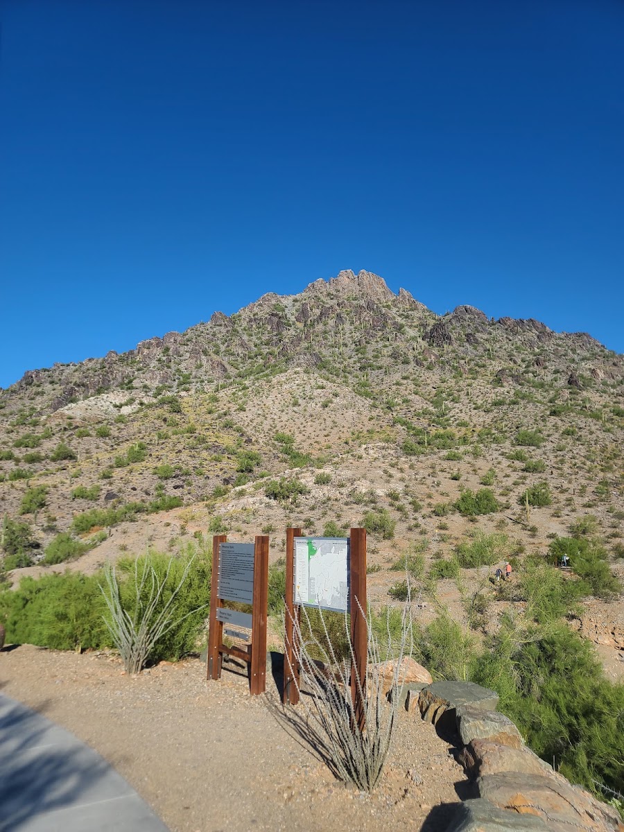 Piestewa Peak Park