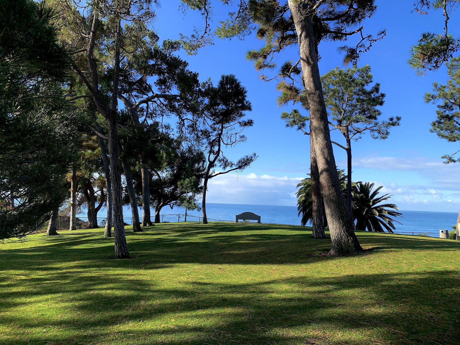 Pines Park