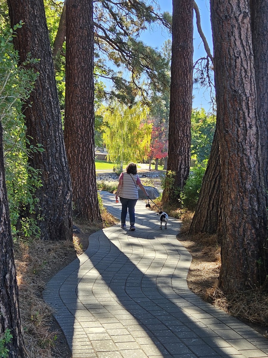 Pioneer Park