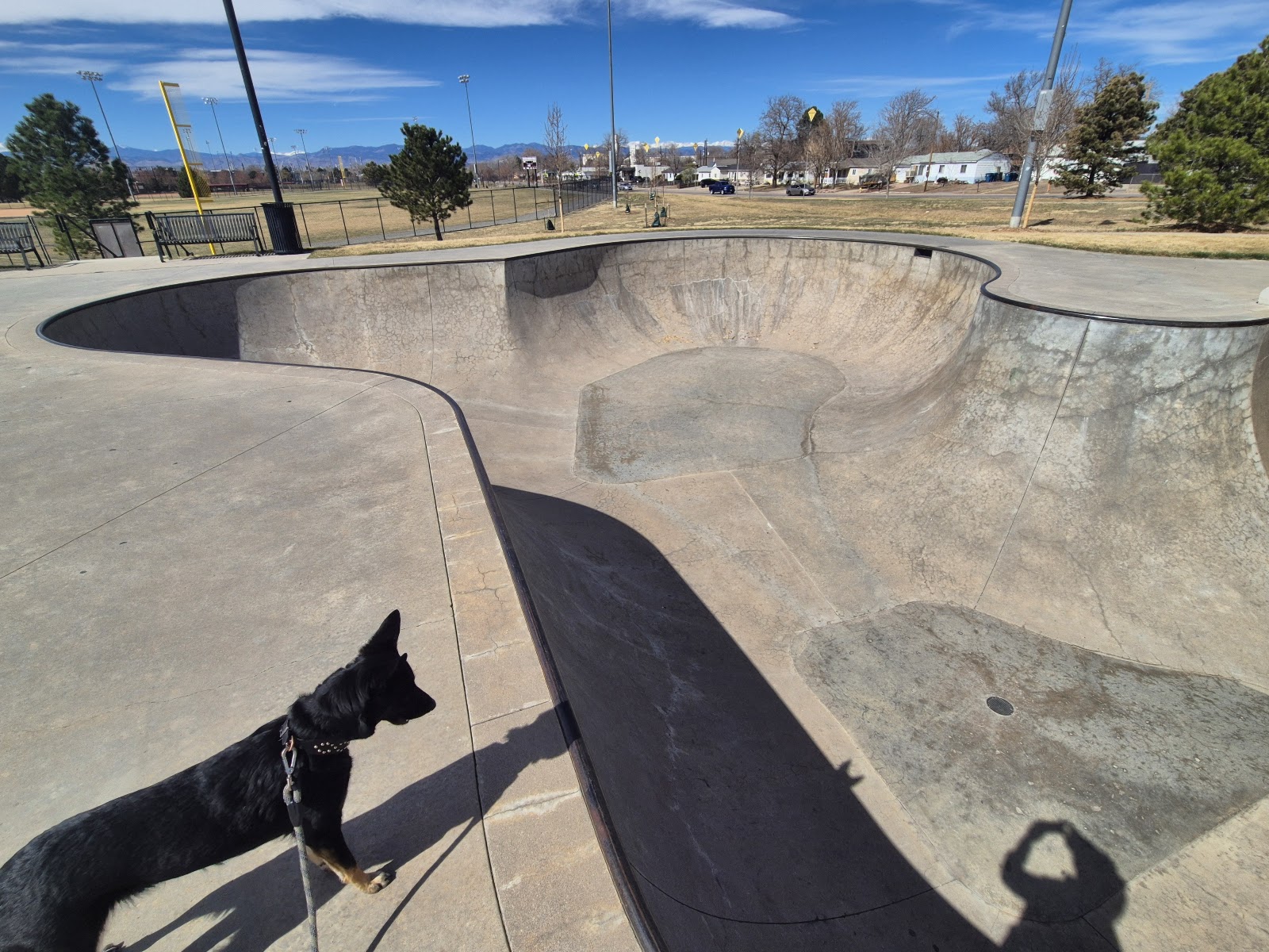 Pioneer Park field