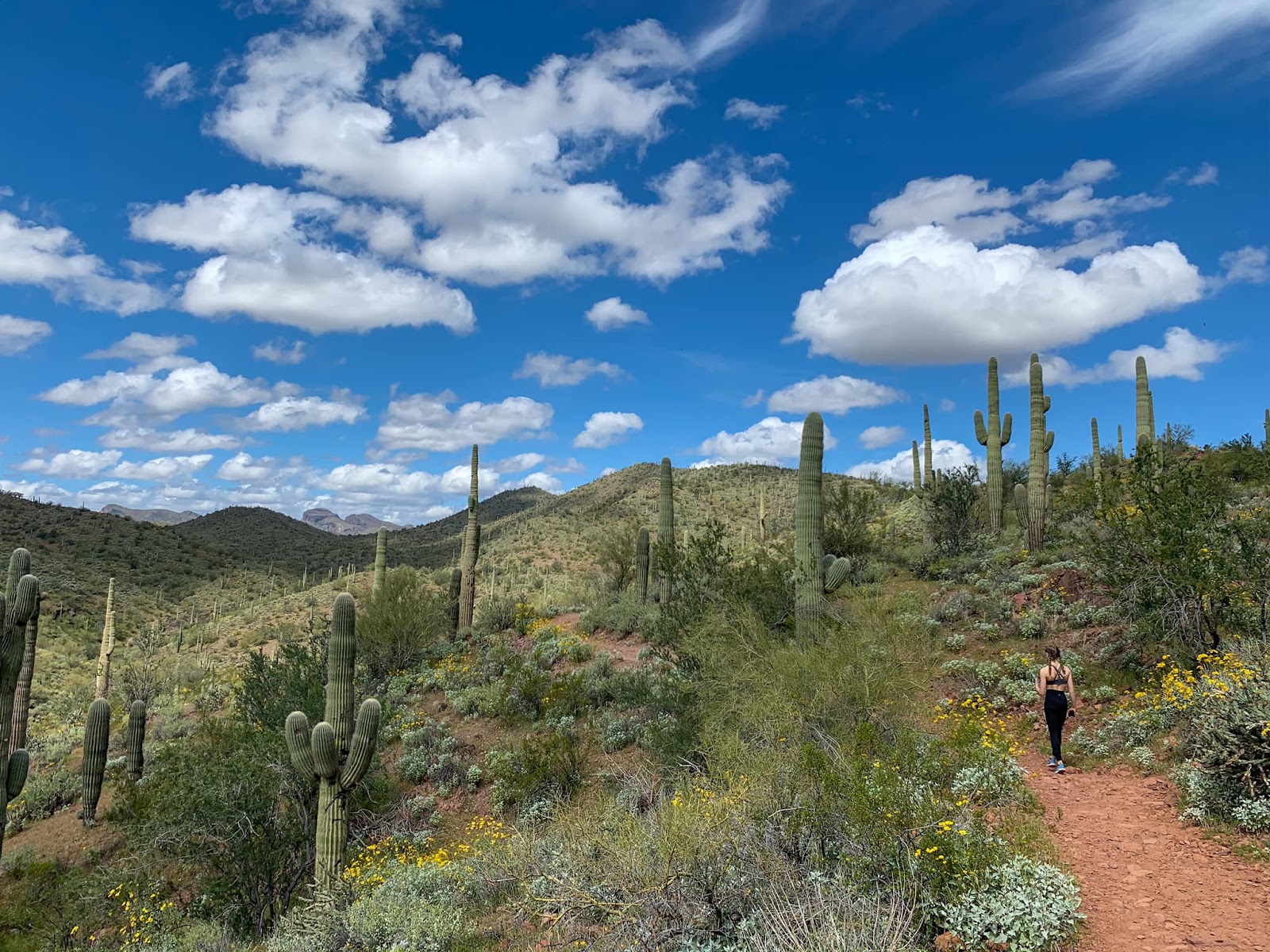 Pipeline Canyon Trail