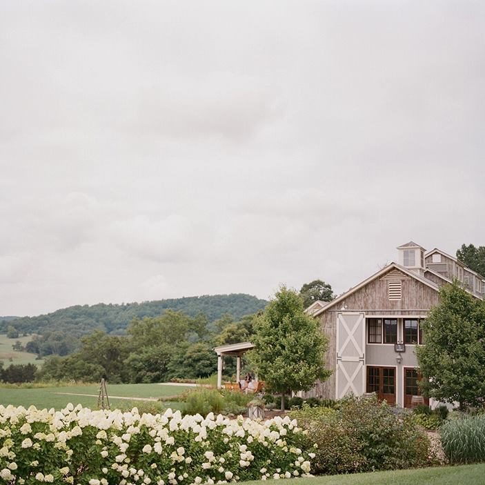 Pippin Hill Farm & Vineyards