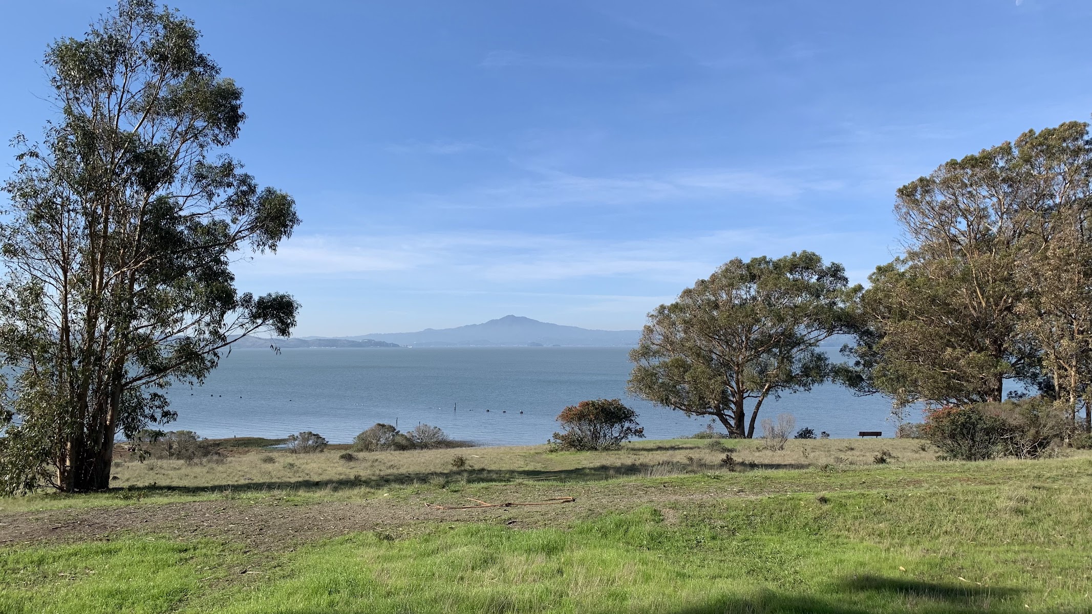 Point Pinole Regional Shoreline