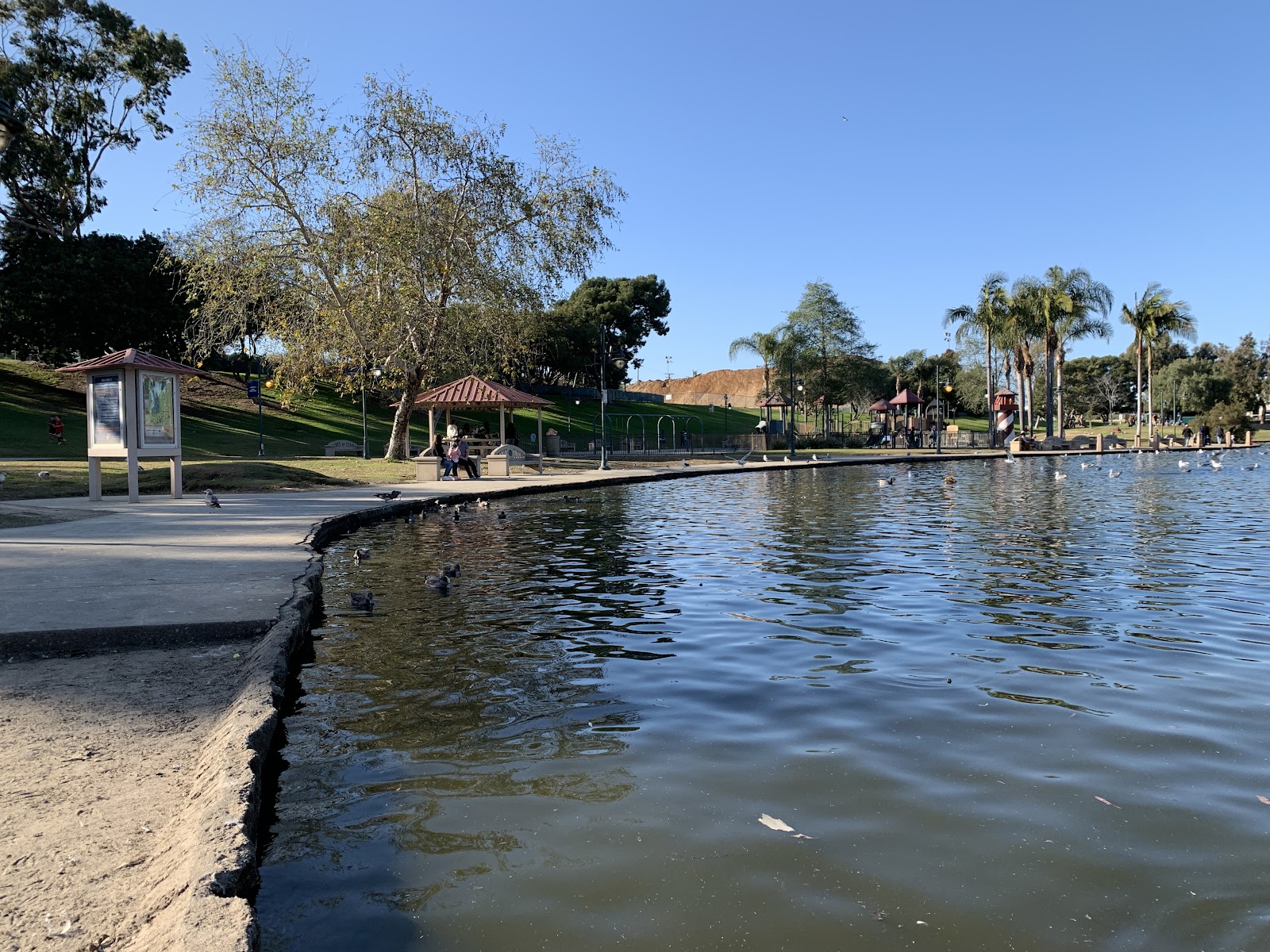 Polliwog Park