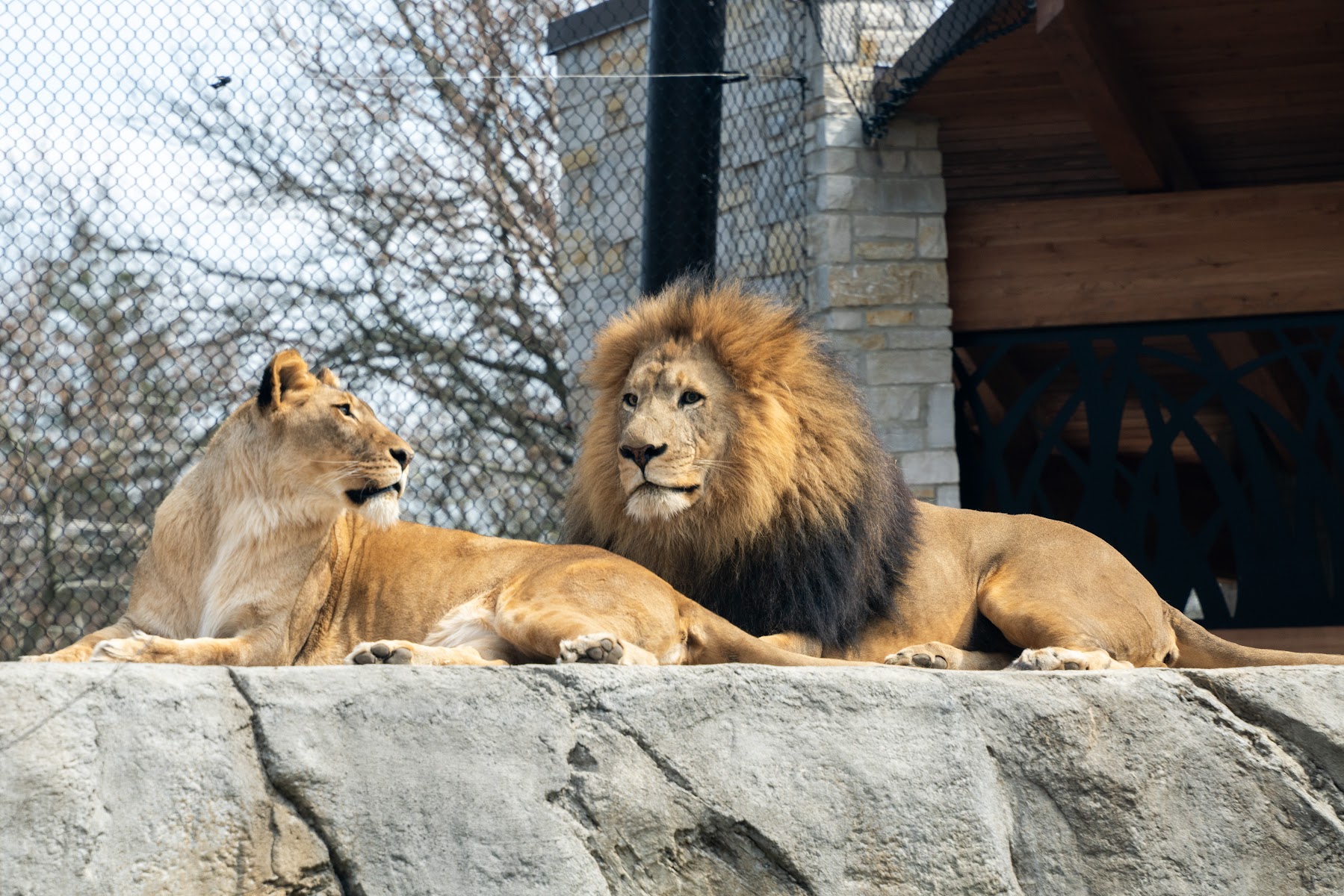 Potawatomi Zoo
