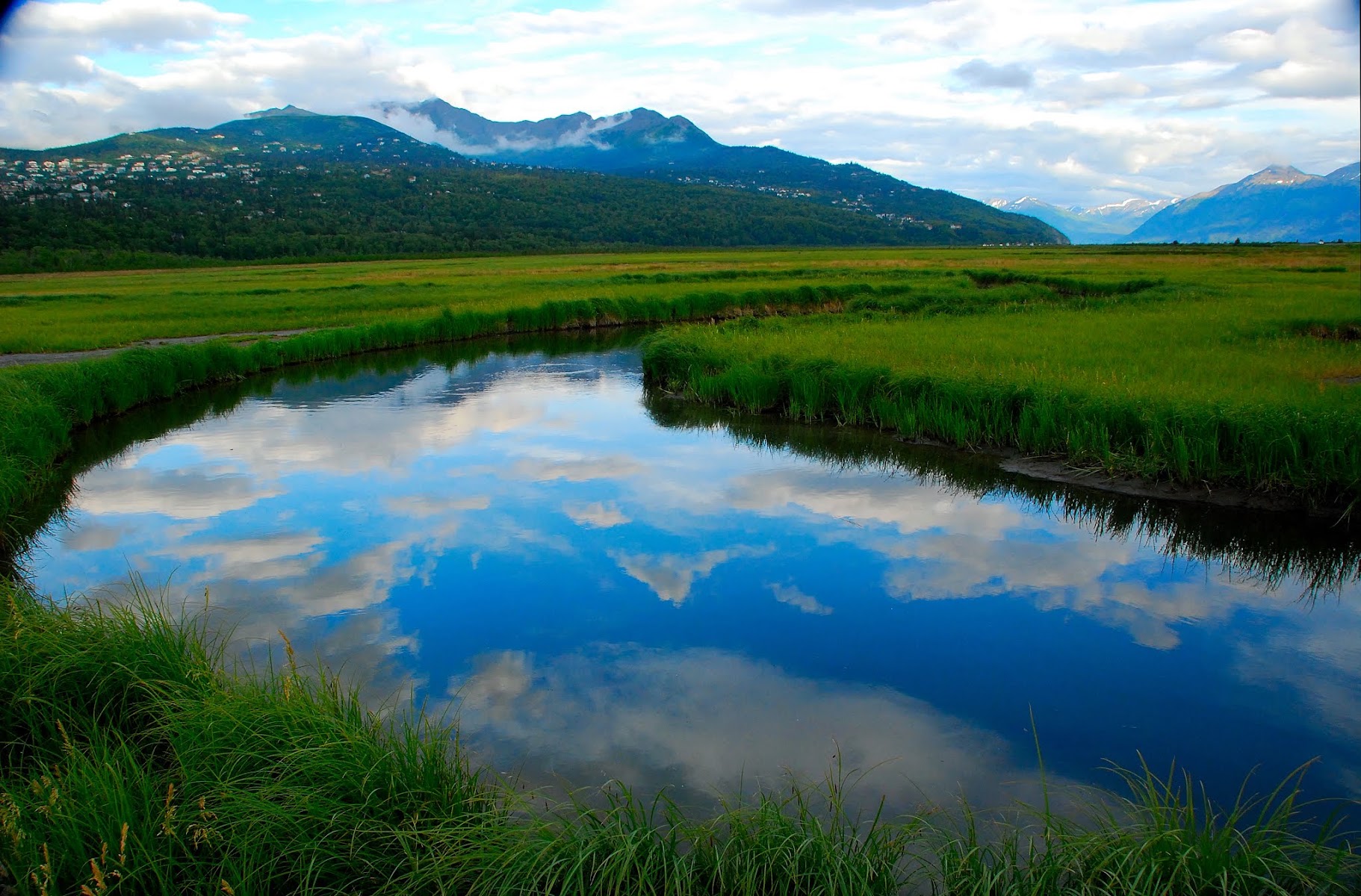 Potter Marsh Bird Sanctuary