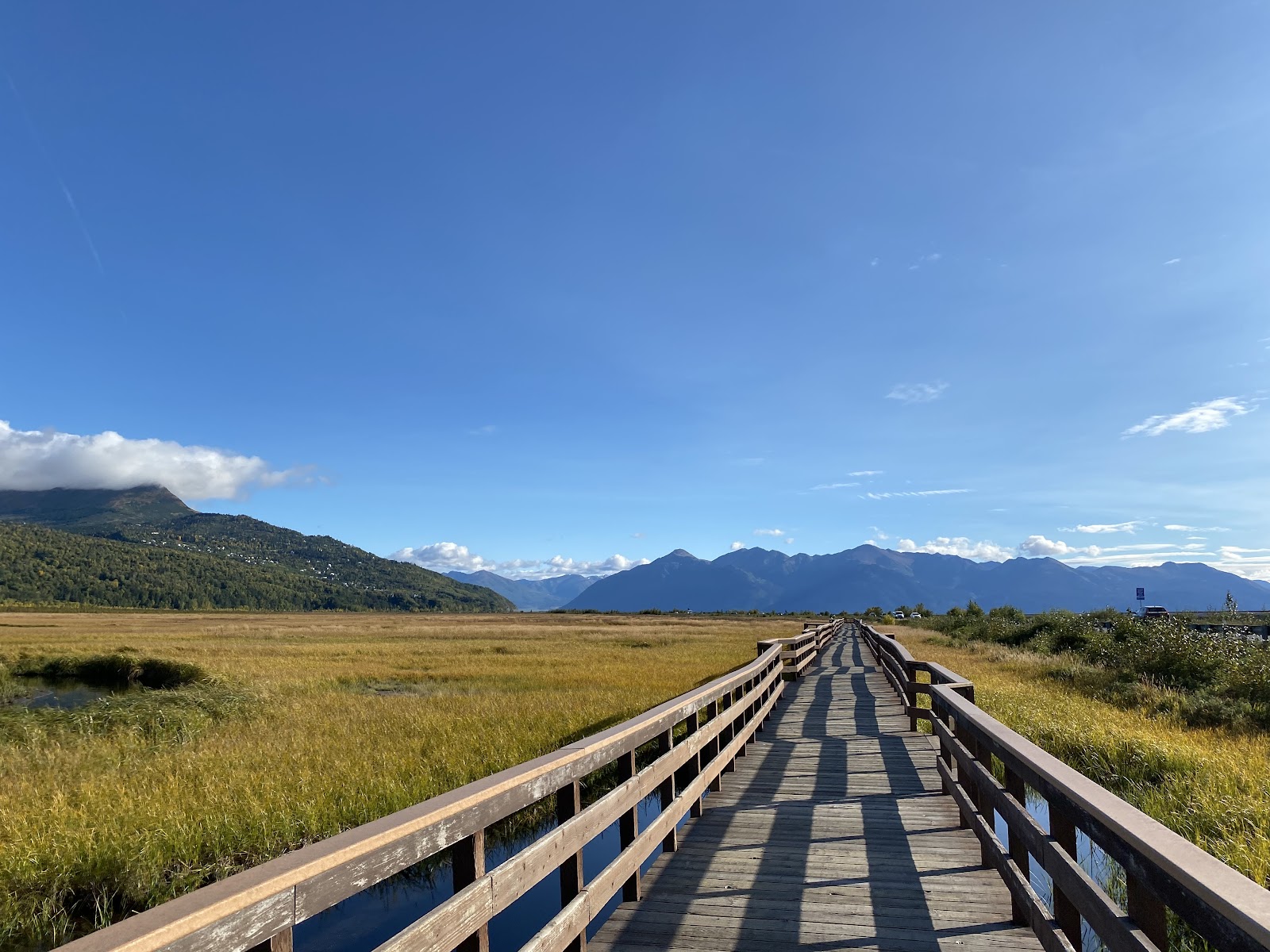 Potter Marsh Wildlife Viewing Boardwalk
