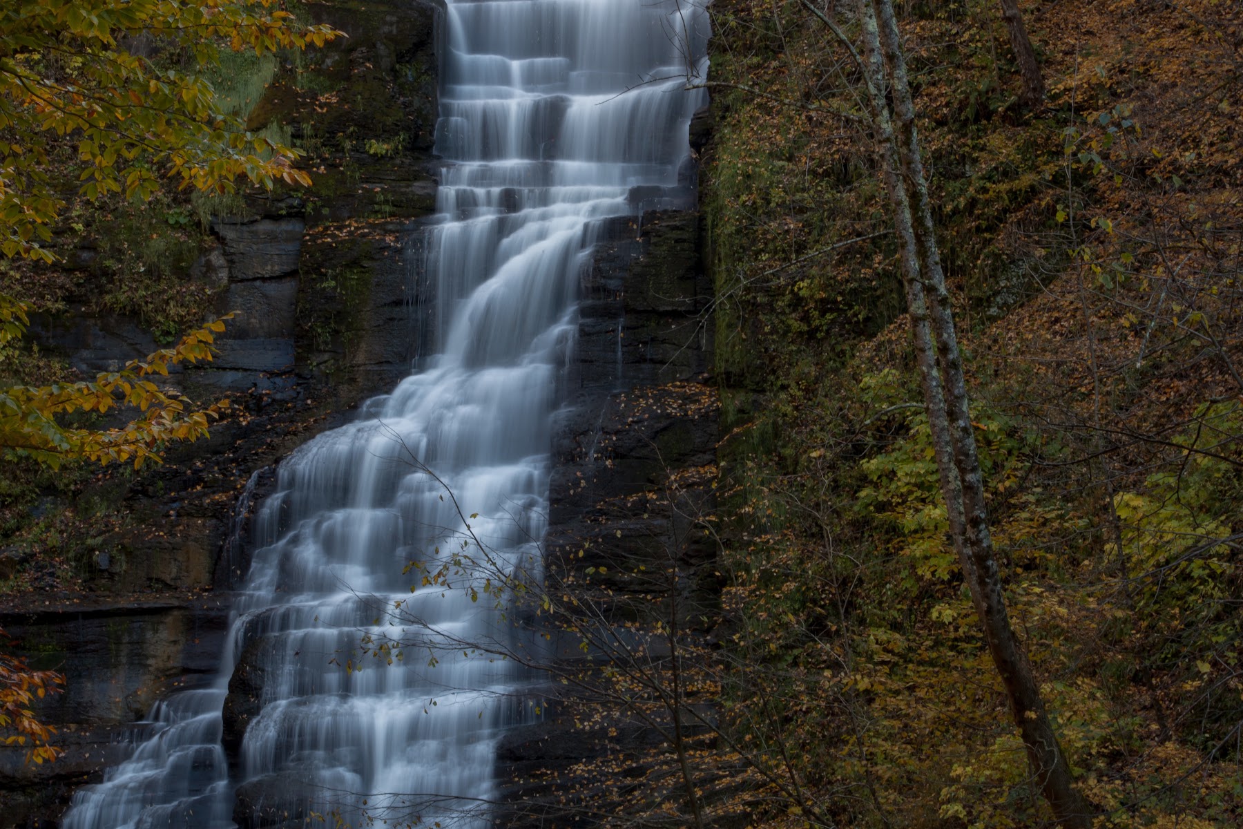 Pratts Falls Park