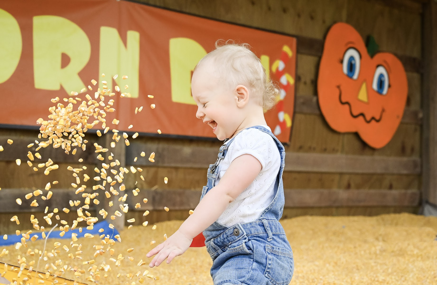 Pumpkin Village Fall Fest