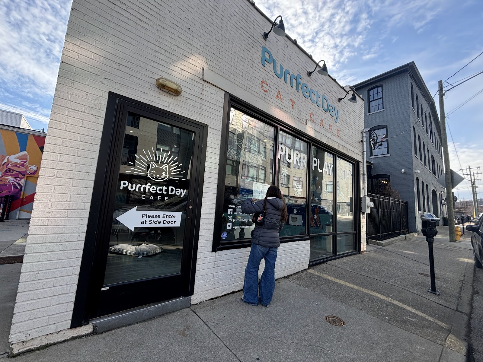 Purrfect Day Cat Café