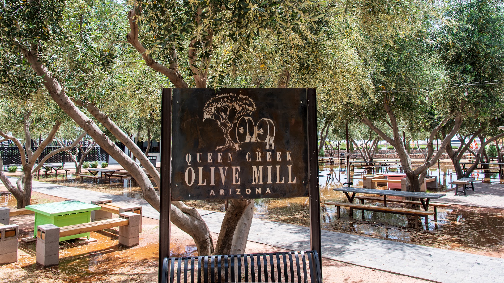 Queen Creek Olive Mill