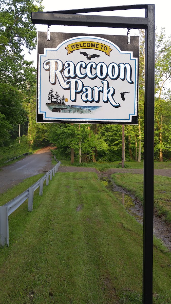 Raccoon Park