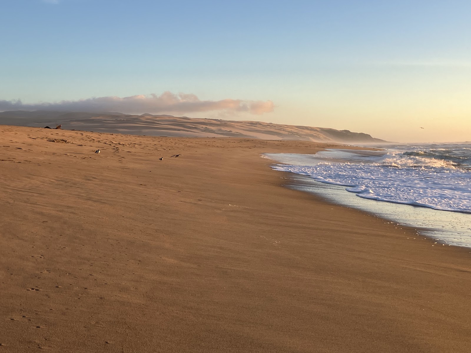 Rancho Guadalupe Dunes Preserve