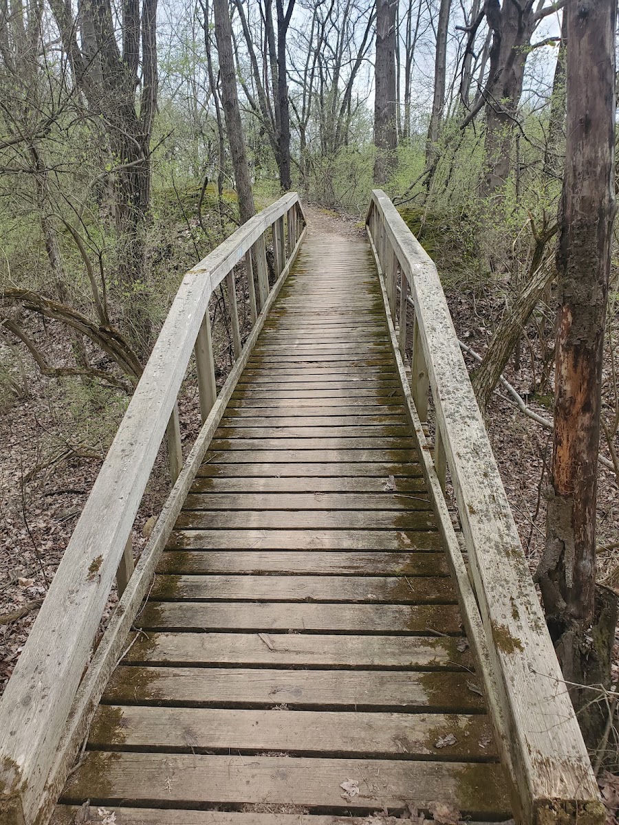 Rangeline Nature Preserve