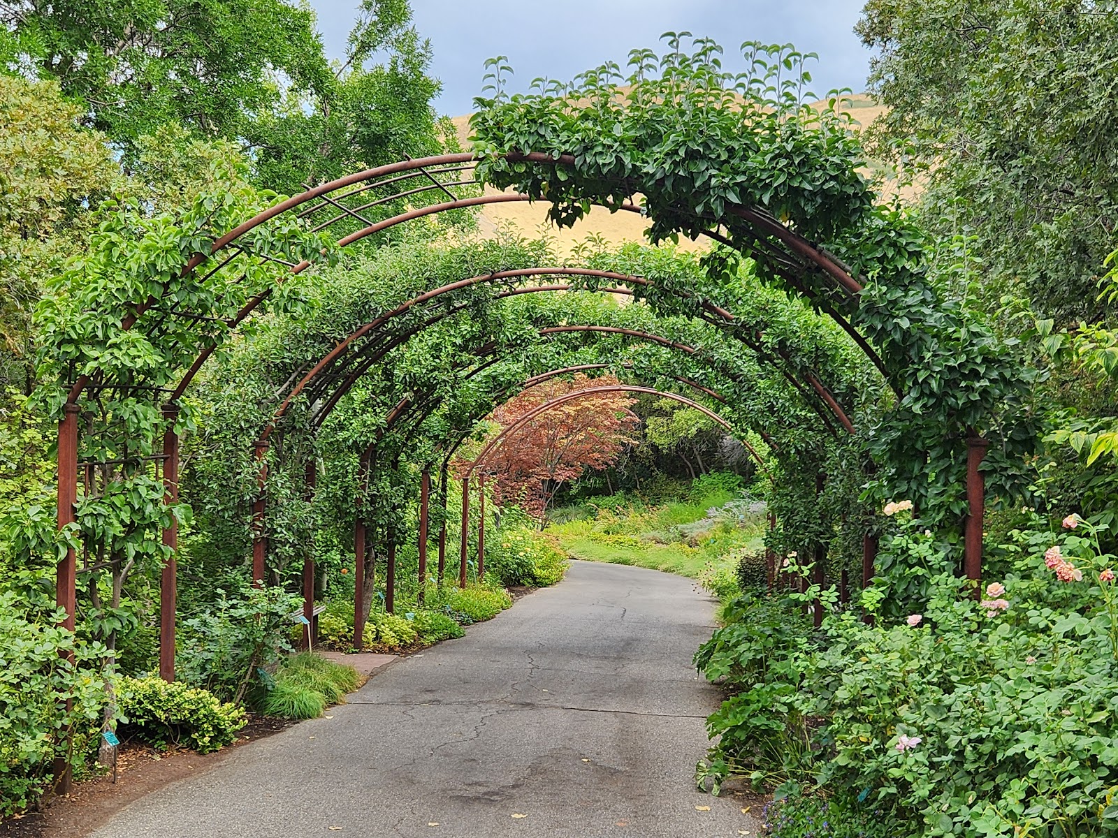 Red Butte Garden and Arboretum