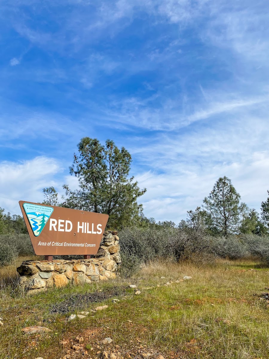 Red Hills Recreation Management Area