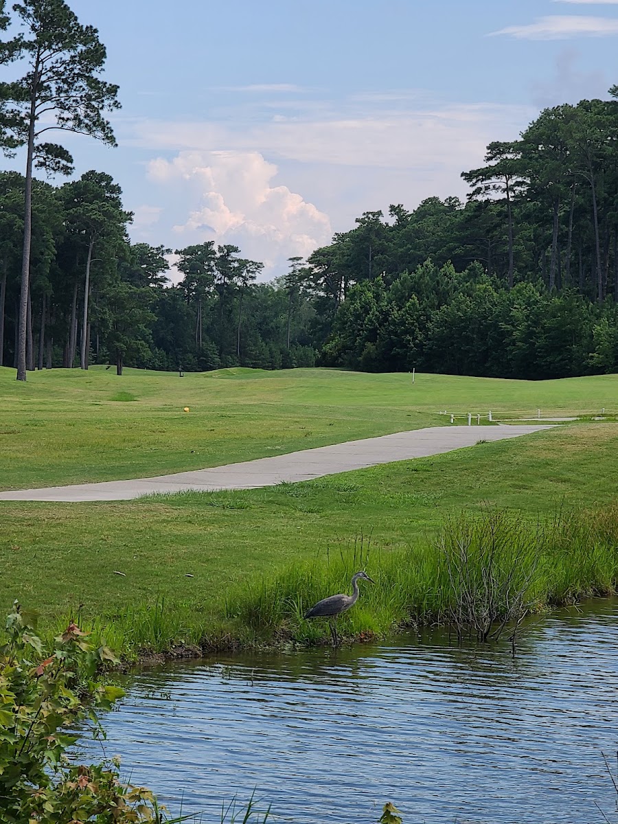 Red Wing Lake Golf Course
