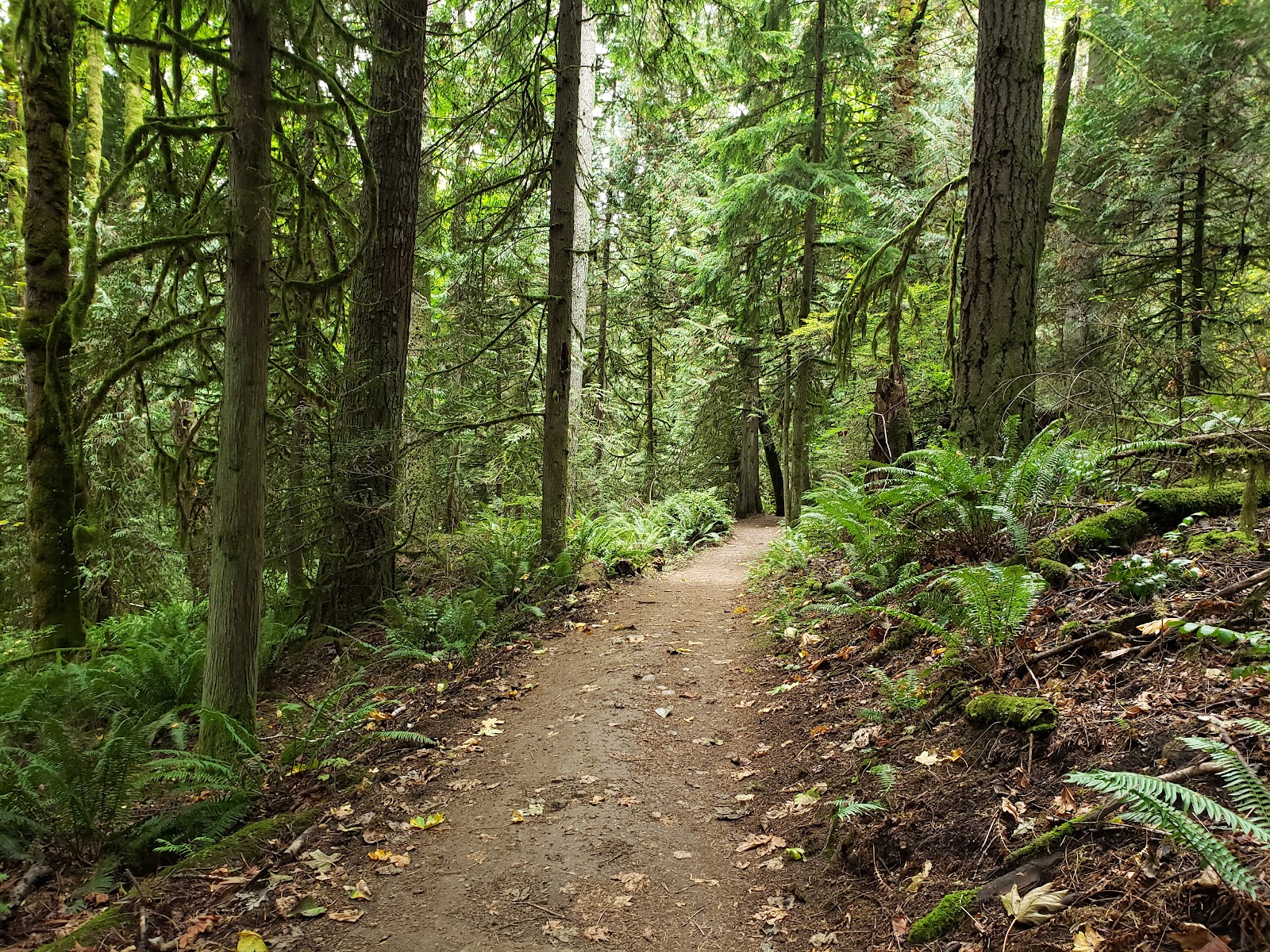 Redmond Watershed Preserve