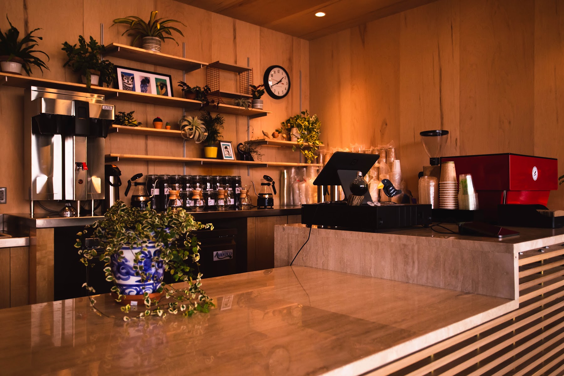 Redstart Roasters