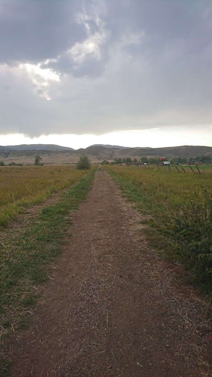 Reservoir Ridge Natural Area