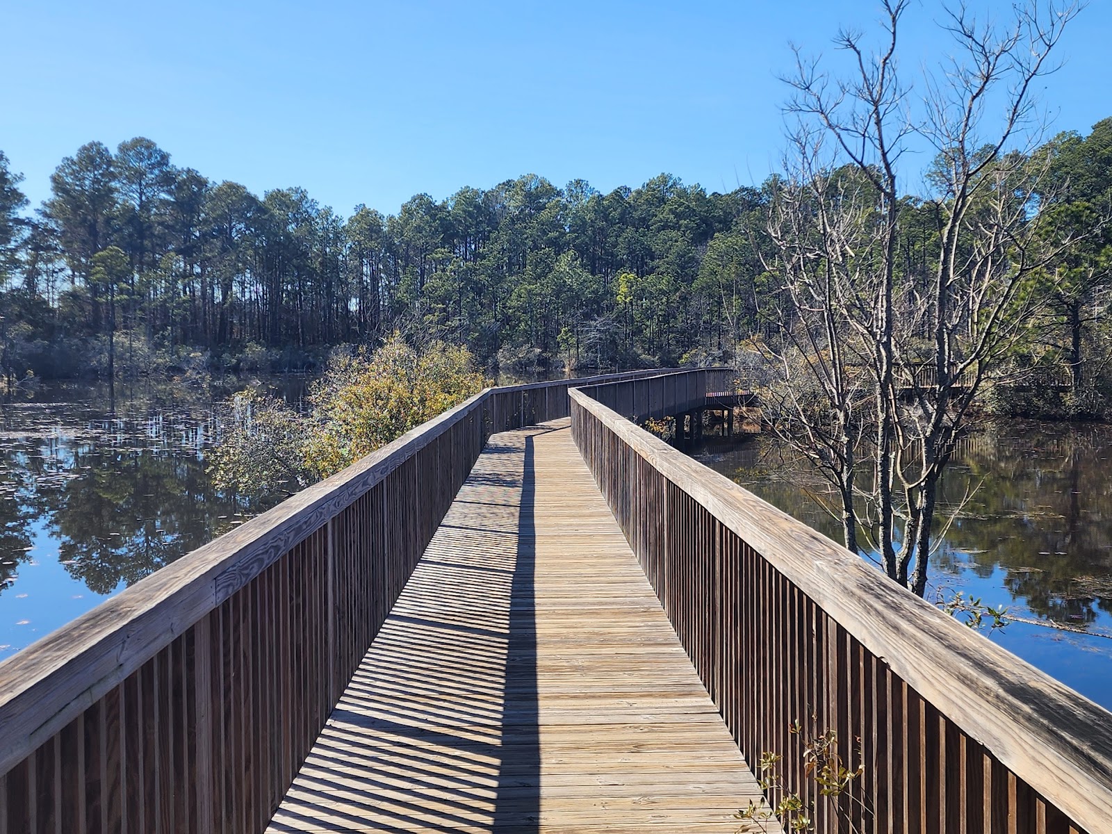 Restoration Park West Monroe