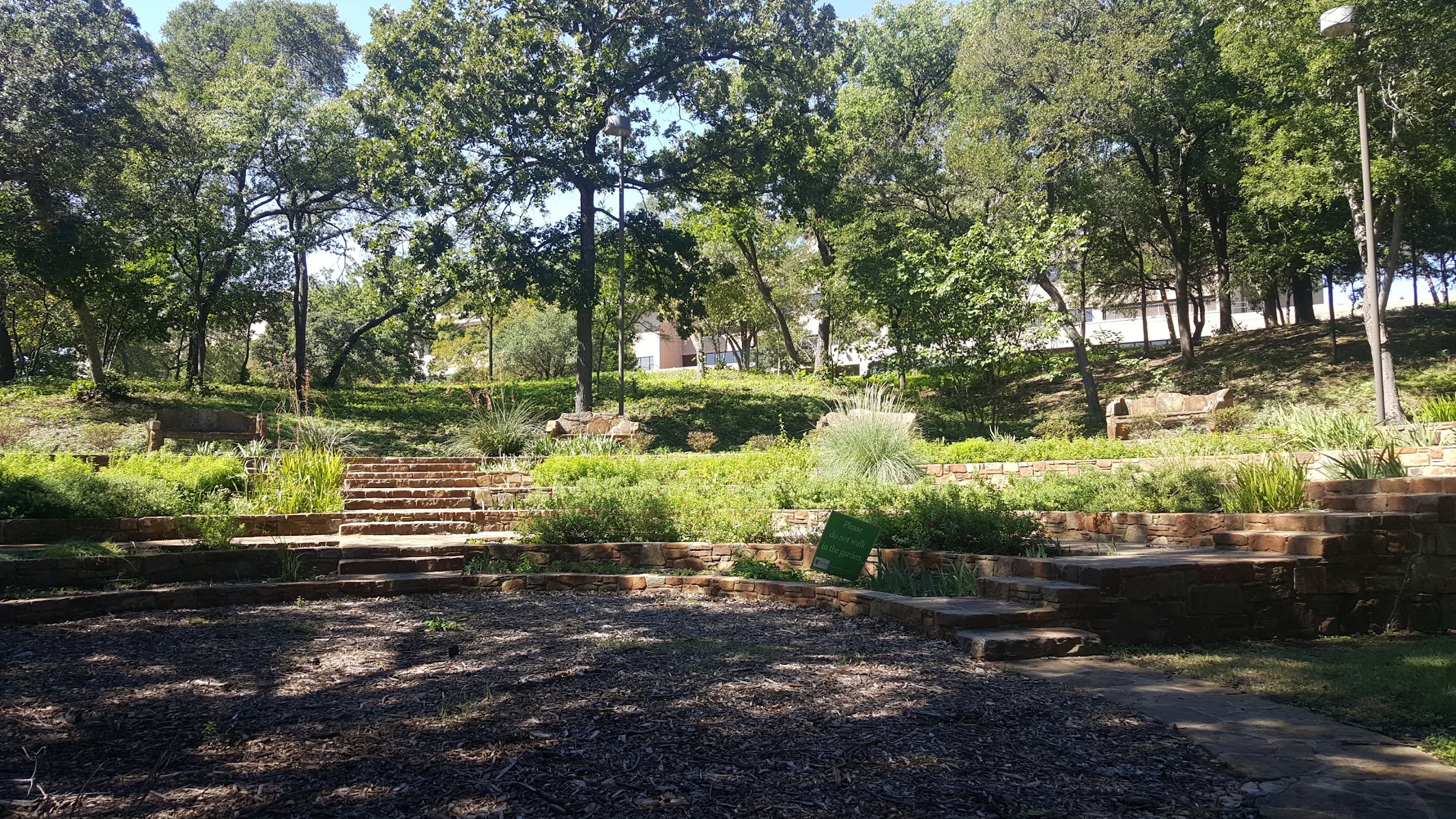 Reverchon Park