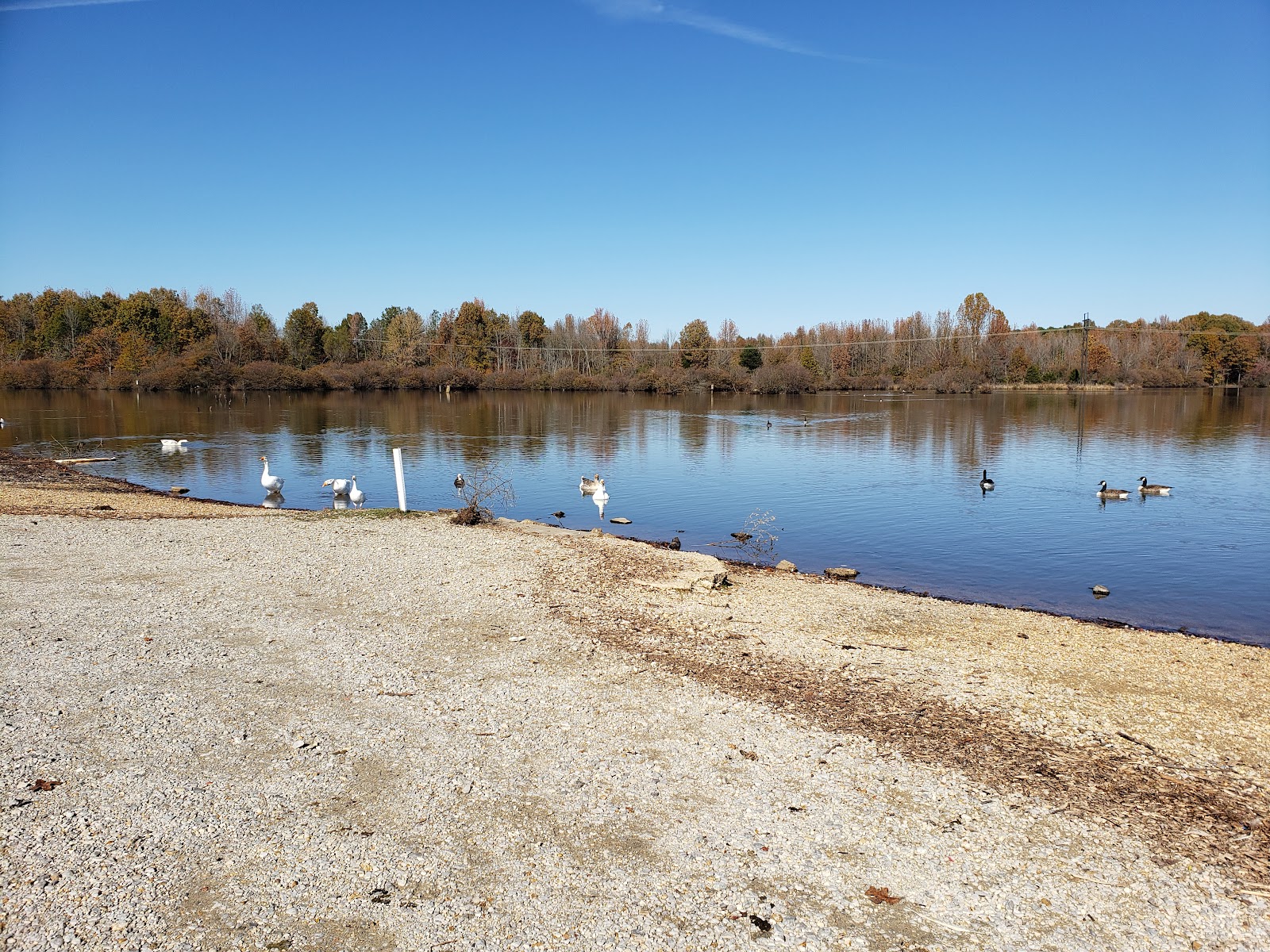 Reynolds Park