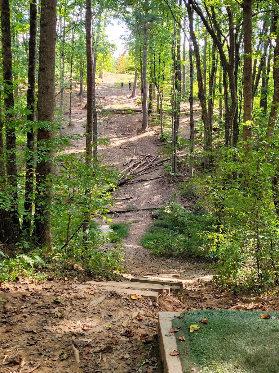 Richmond Hill Park