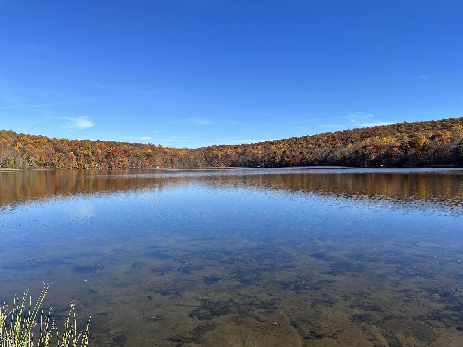 Ringwood State Park