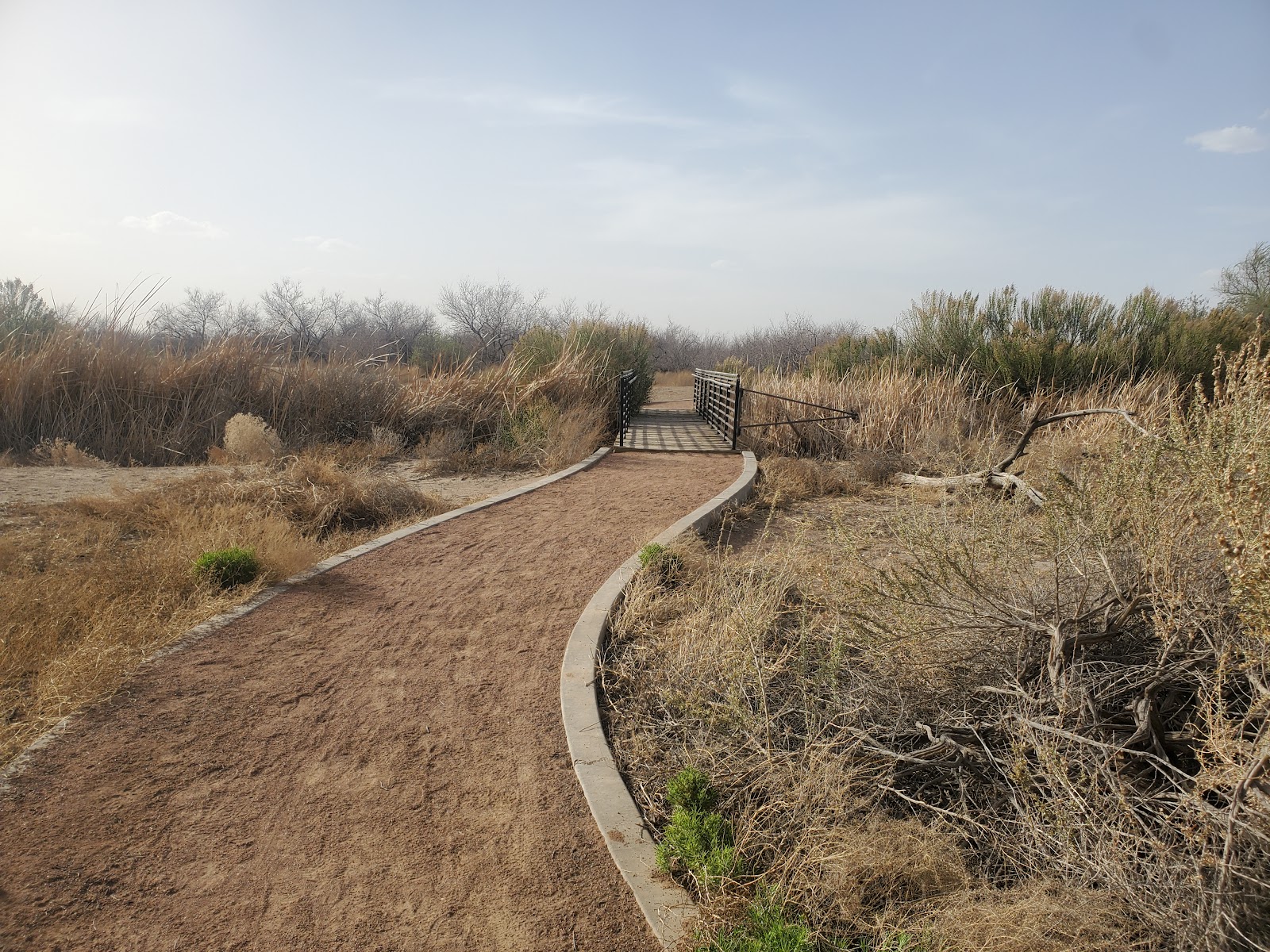 Rio Bosque Park