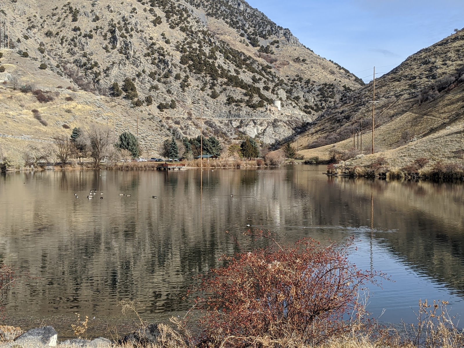 River Hollow Park