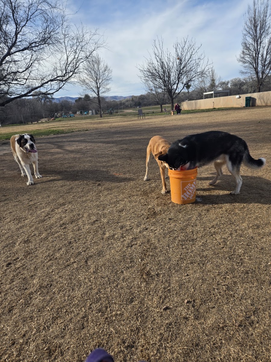Riverfront Dog Park