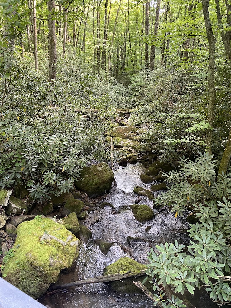 Rock Creek Recreation Area