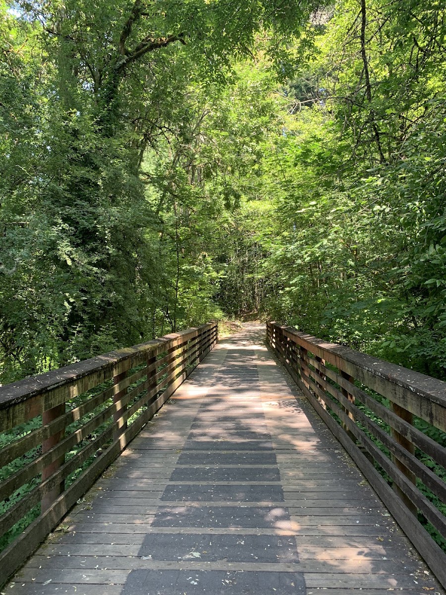 Rock Creek Trail