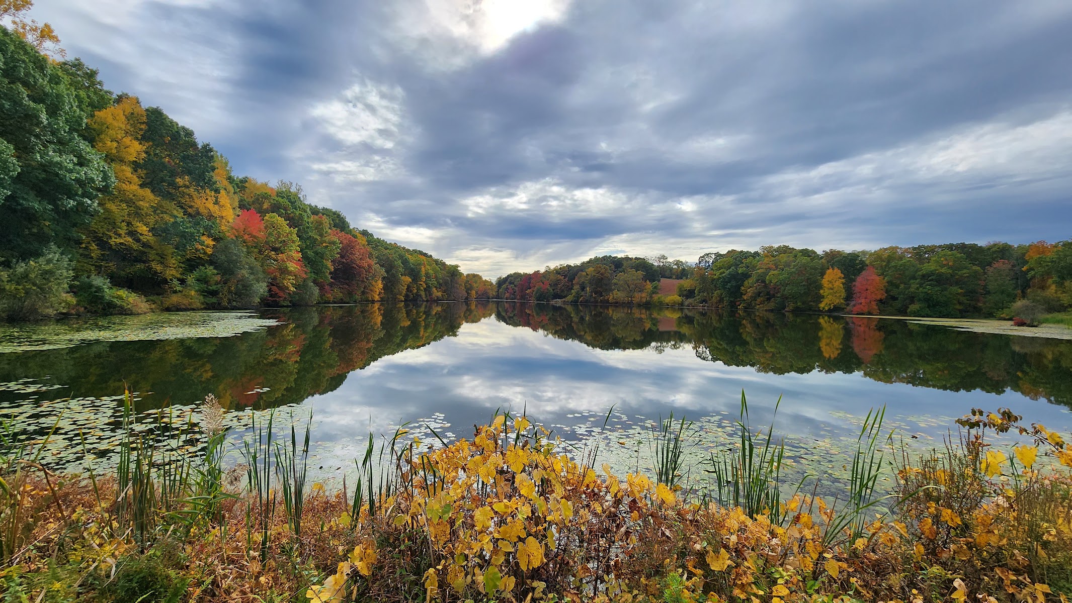 Rockefeller State Park Preserve