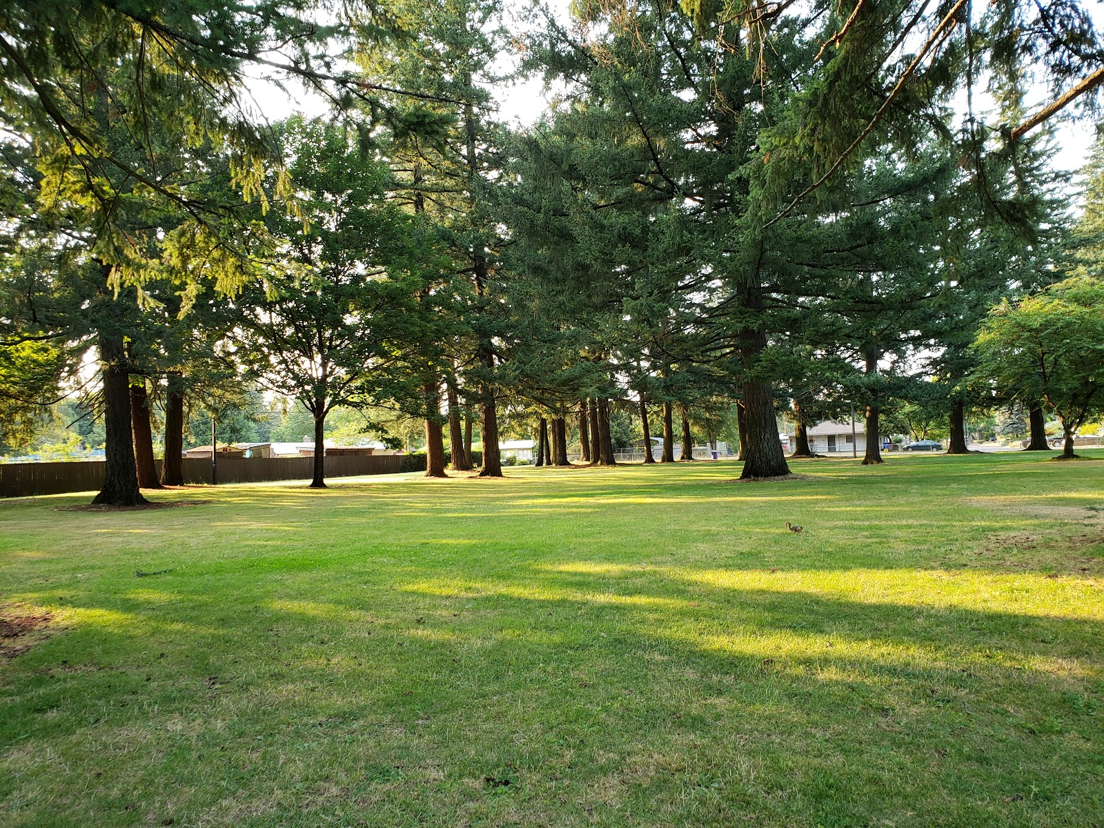 Rockwood Central Park