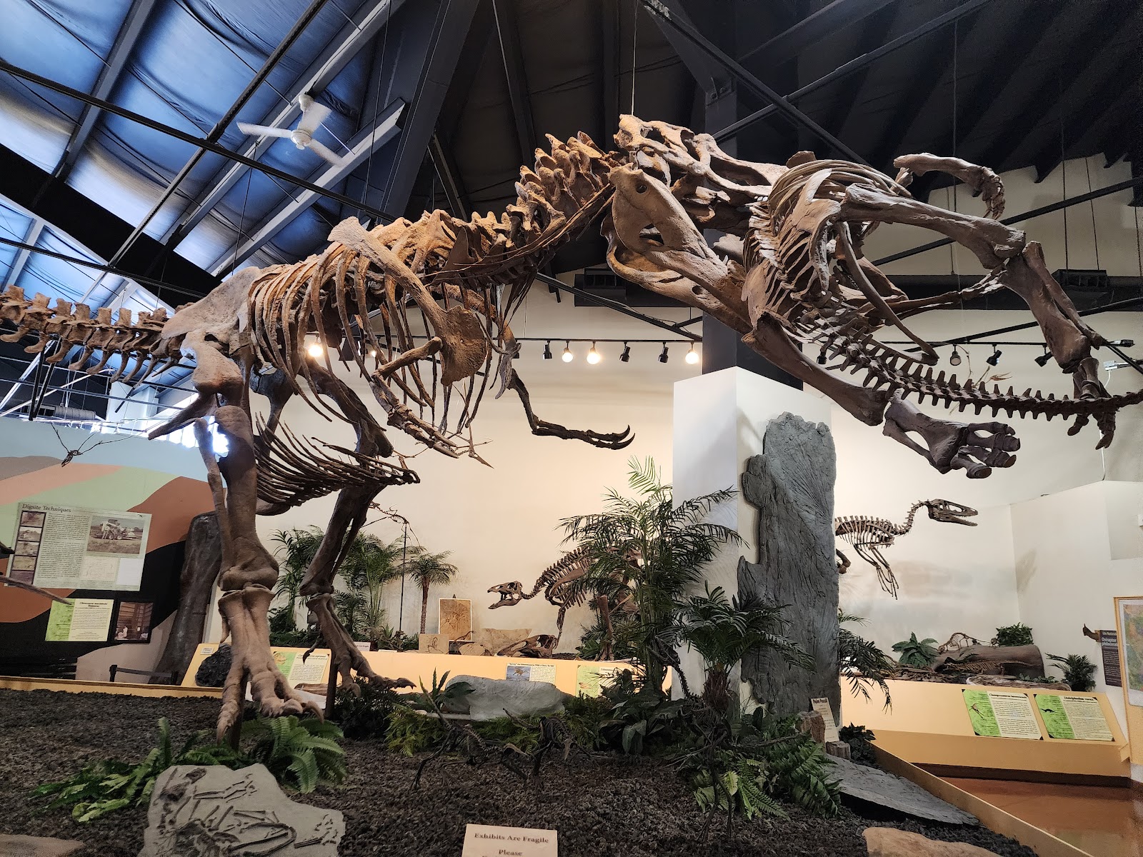 Rocky Mountain Dinosaur Resource Center