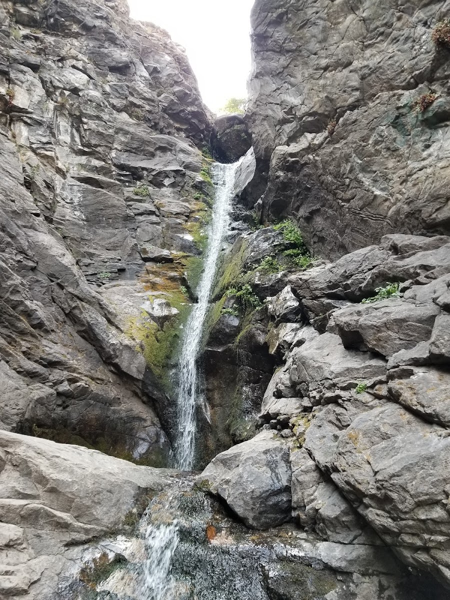 Rocky Mouth Trail Head