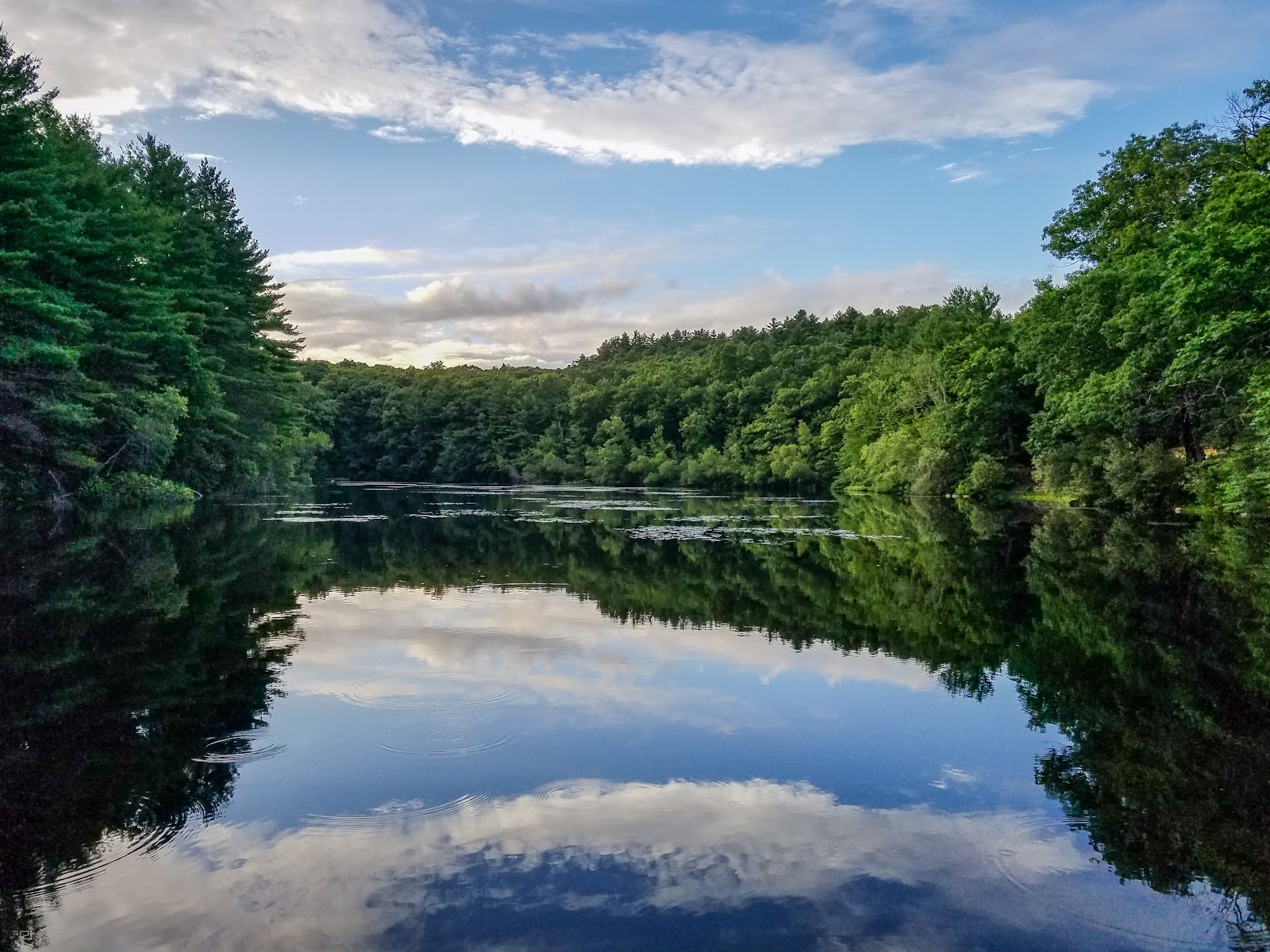 Rocky Woods