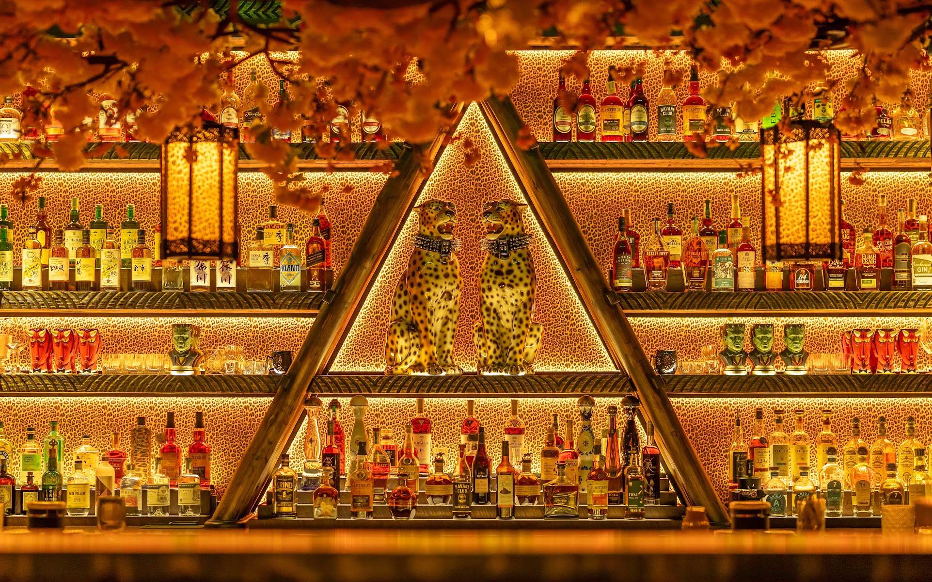 Roka Hula