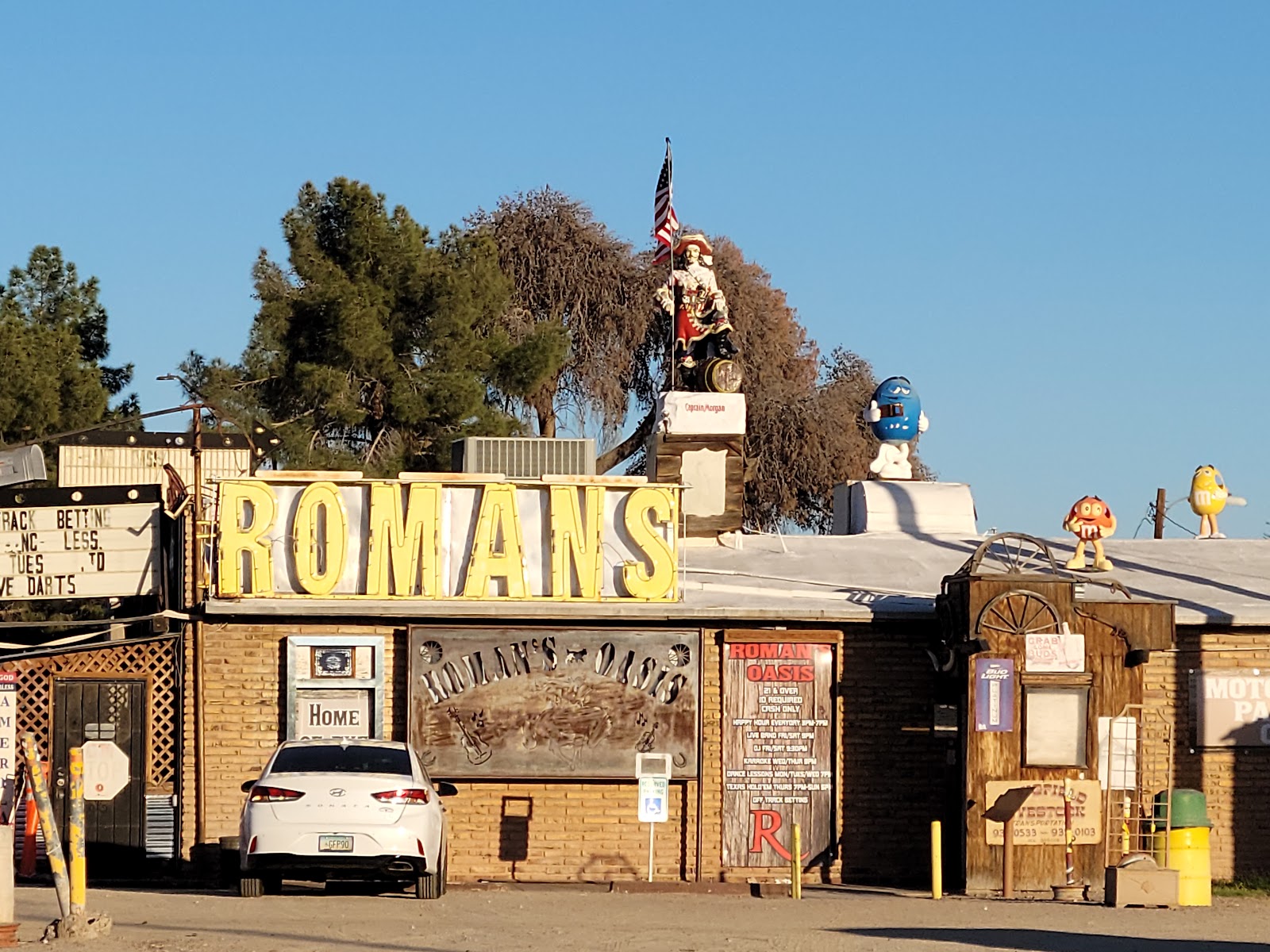 Roman's Oasis
