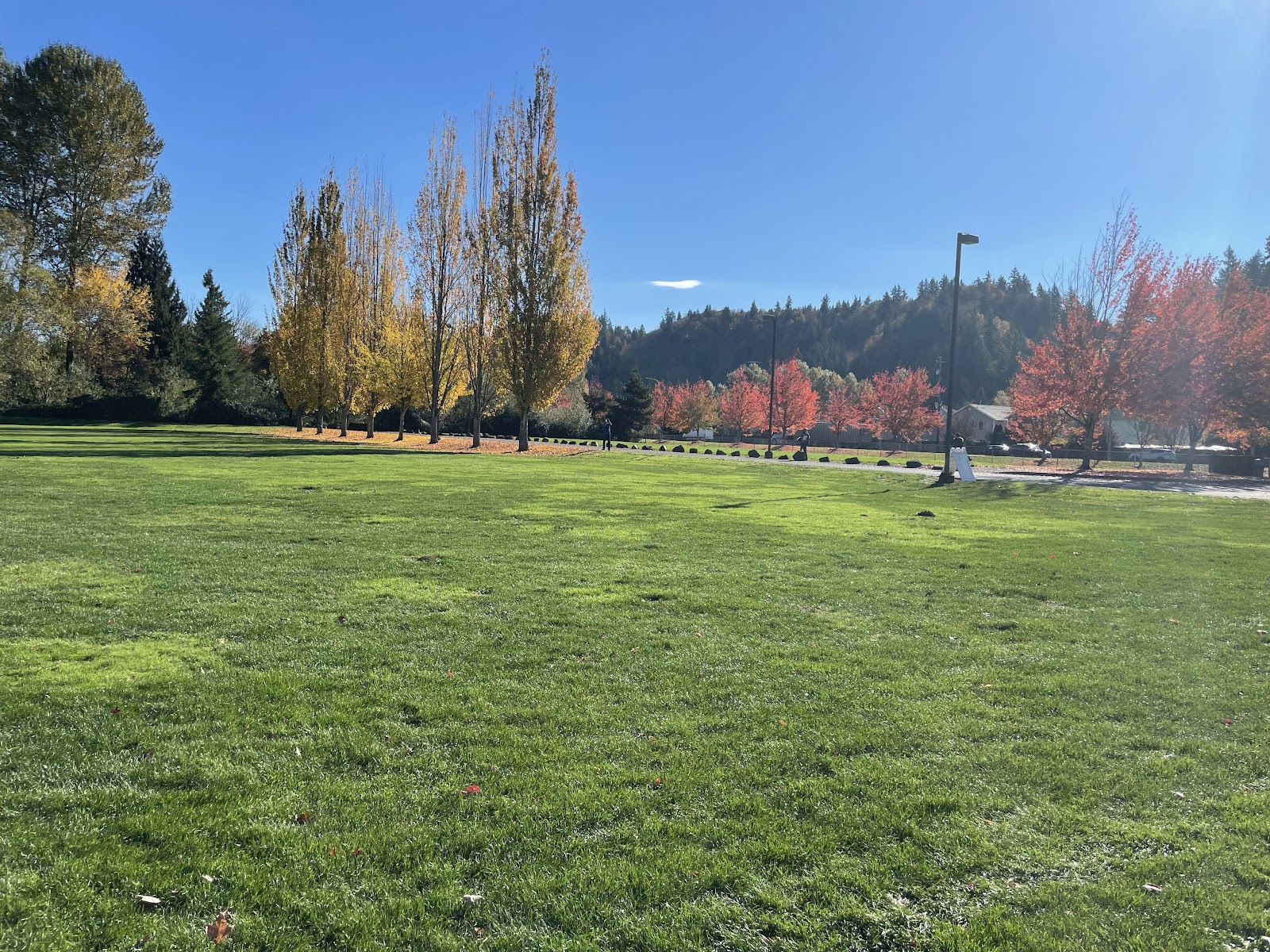 Ron Regis Park
