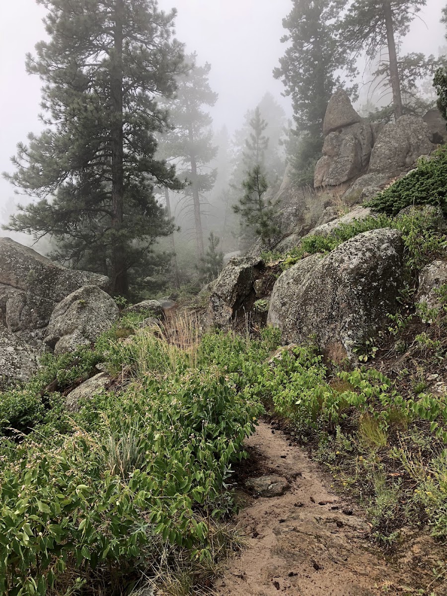 Round Mountain National Recreation Trail
