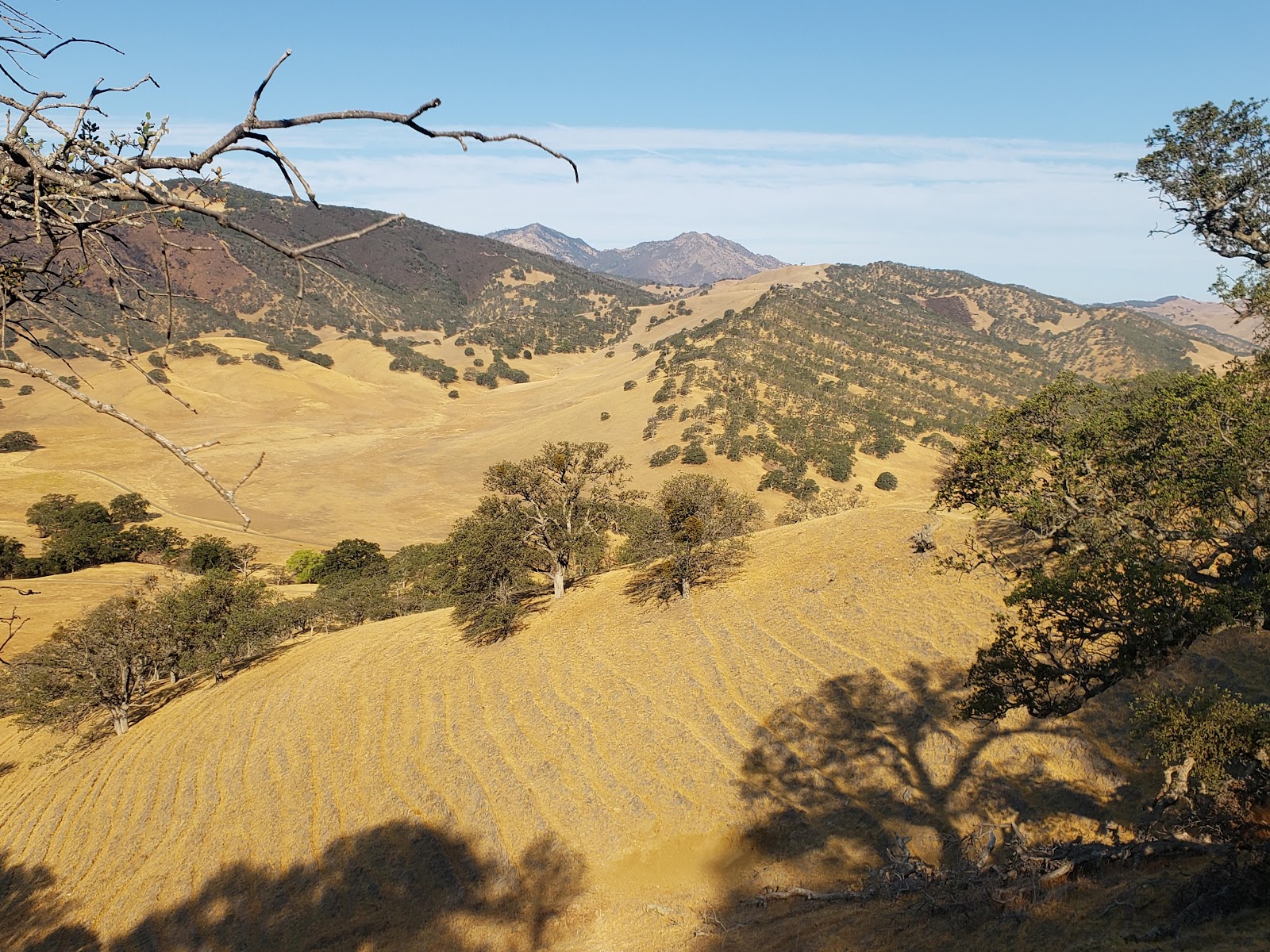 Round Valley Regional Preserve