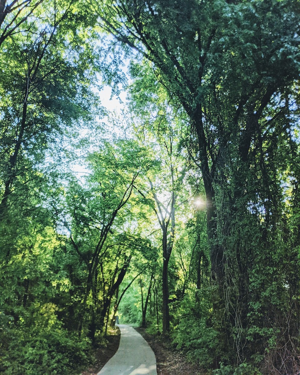 Rowlett Creek - Dallas County Nature Preserve