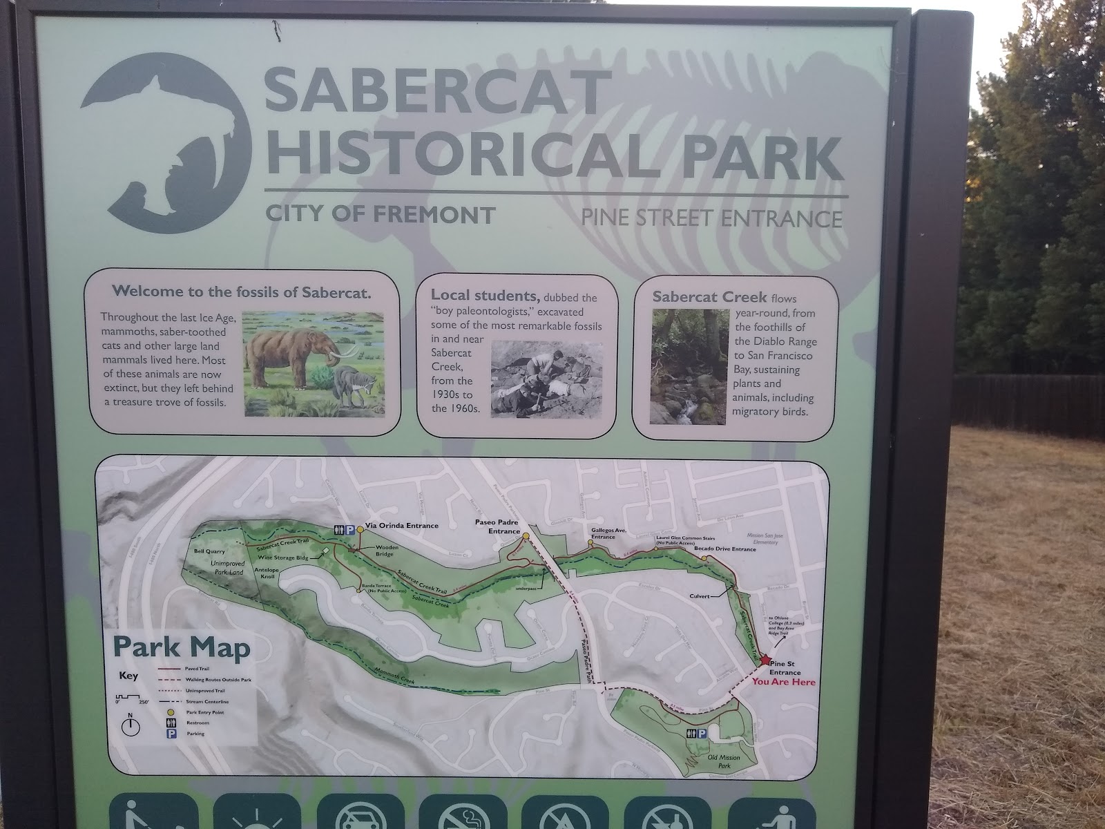 Sabercat Creek Trail