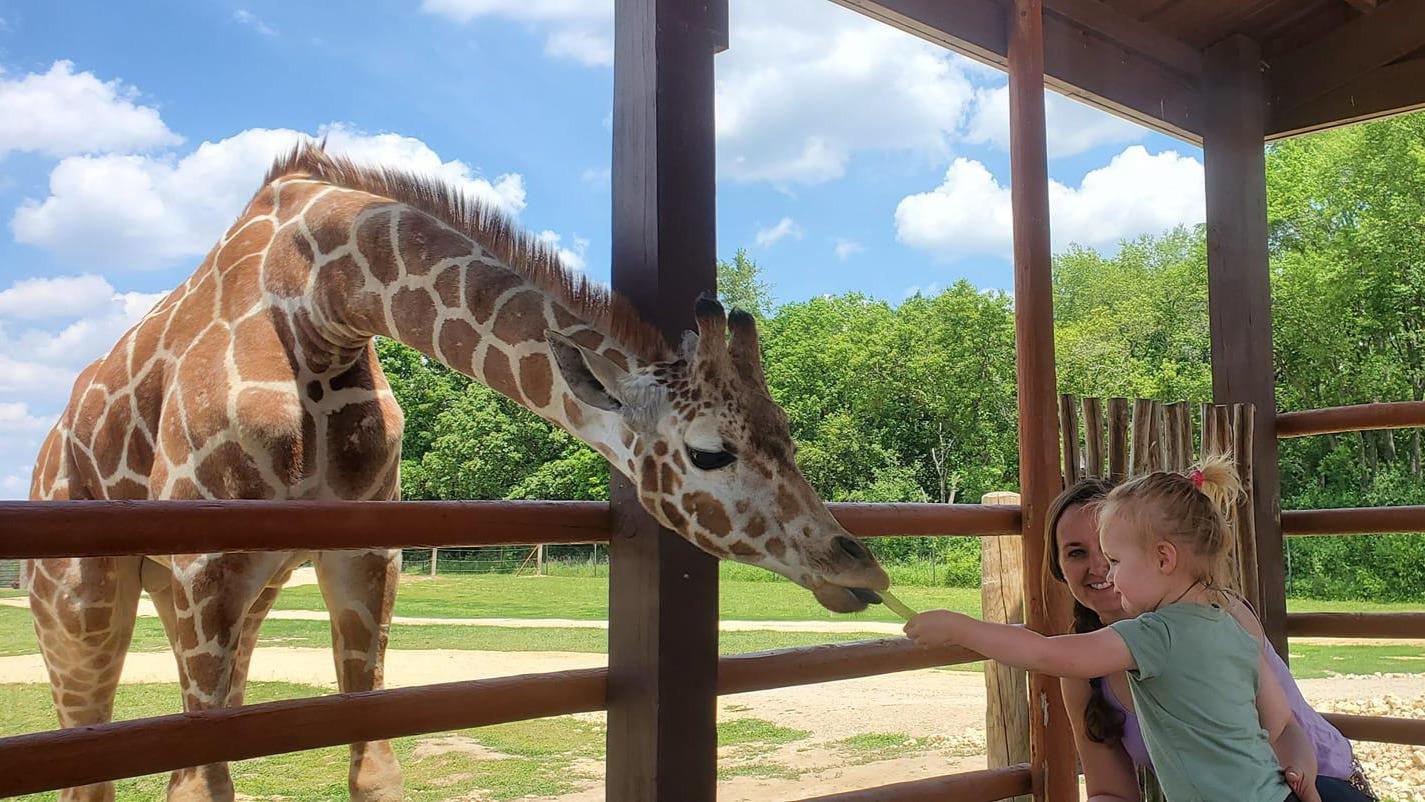 Safari Lake Geneva | Online Reservations Required